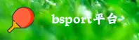 bsport体育(BSport)官方网站 - 官方正版入口